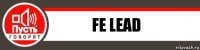 FE lead