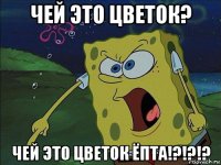 чей это цветок? чей это цветок ёпта!?!?!?