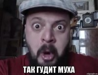  так гудит муха