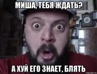 миша, тебя ждать? а хуй его знает, блять