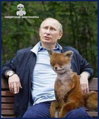 Создать мем Путин и лиса