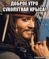 доброе утро сухопутная крыса! 