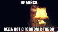 не бойся ведь кот с говном с тобой