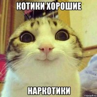 котики хорошие наркотики