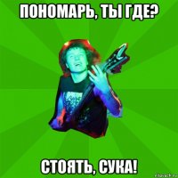 пономарь, ты где? стоять, сука!