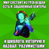 мир состоит из трёх вещей. есть я, забаненные хейтеры и школота, которую я назвал "разумистами"