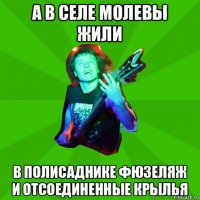 а в селе молевы жили в полисаднике фюзеляж и отсоединенные крылья