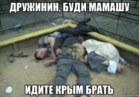 дружинин, буди мамашу идите крым брать