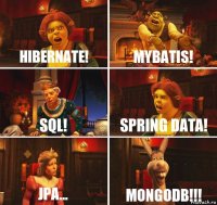 Hibernate! MyBatis! SQL! Spring Data! JPA... MongoDB!!!