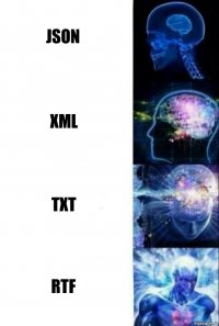 JSON XML TXT RTF