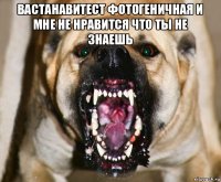 вастанавитест фотогеничная и мне не нравится что ты не знаешь 