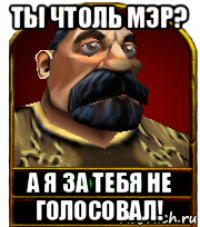 ты чтоль мэр? а я за тебя не голосовал!