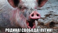  родина! свобода! путин!