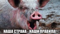  наша страна - наши правила!