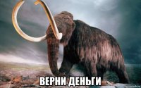  верни деньги
