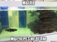 мыло мы через неделю