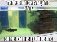 типичная ситуация в чате впрочем ничего нового