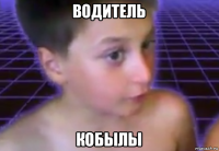 водитель кобылы