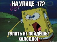 на улице -17? гулять не пойдёшь! холодно!