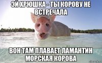 эй хрюшка - ты корову не встречала вон там плавает ламантин морская корова
