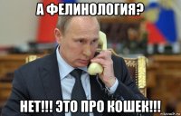 а фелинология? нет!!! это про кошек!!!