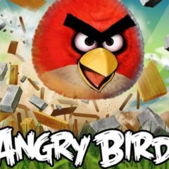 Angry birds