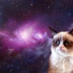 grumpy cat space