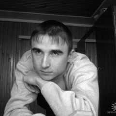 дамик