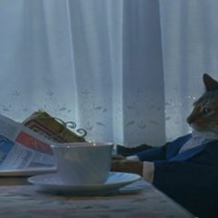 i-should-buy-a-boat-cat