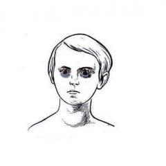Какие спал