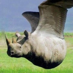 ол