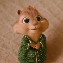 Примерно так выглядит Ксюня кото