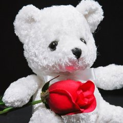 This teddy