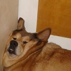 утро