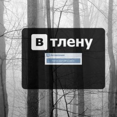 Втлену
