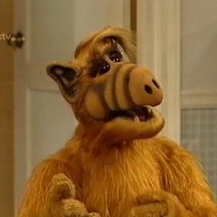 alf
