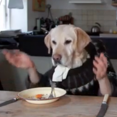 бля ну бывает