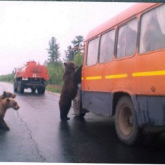 ДПС КОПЫ