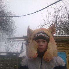 лдрод