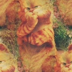 ТИПО