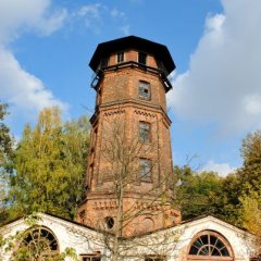 Типов Шпитьки