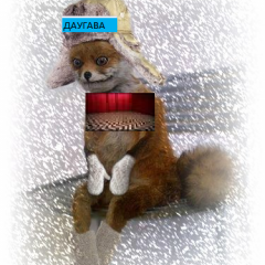 Даугава