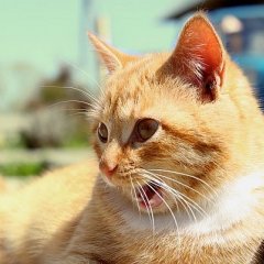 какие то документы