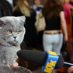 ололол