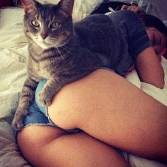 попа