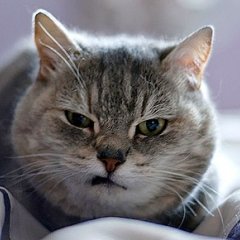 скоро сентябрь