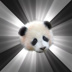 Стыдливая сожалеющая панда  Regr