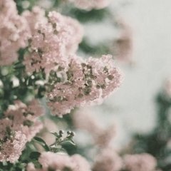 У всех любовь а я Юля