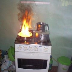 1231
