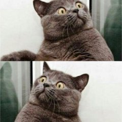 3453